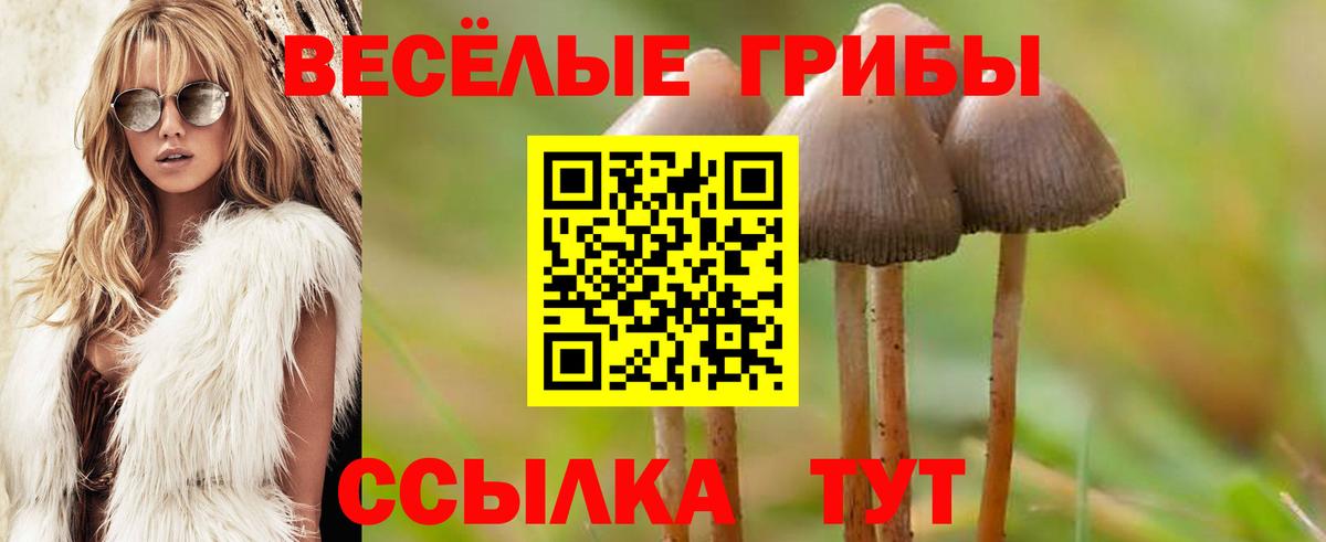 Кокаин Кушва