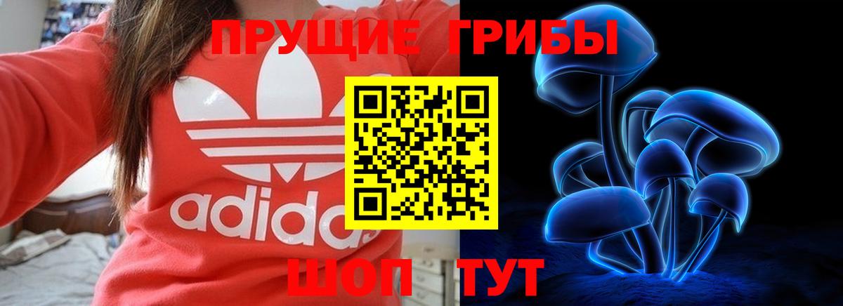 Псилоцибиновые грибы Magic Shrooms  Псилоцибиновые грибы Magic Shrooms  Вход с VPN  Кушва 